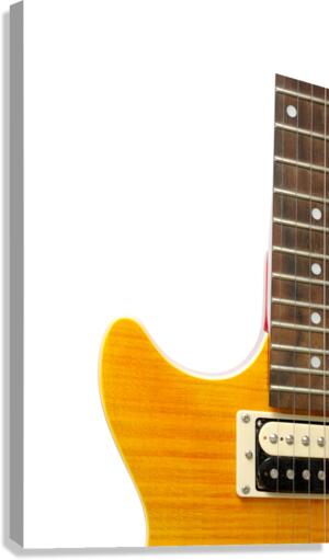 Guitar Canvas Print