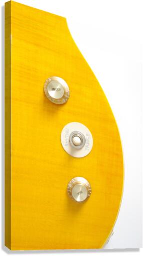 Electric guitar Canvas Print