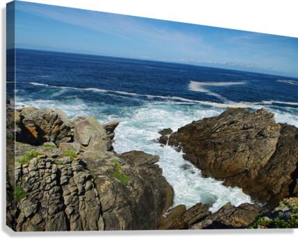 coastal landscape Canvas Print