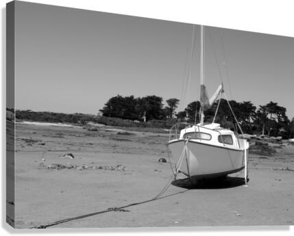 on the sand Canvas Print