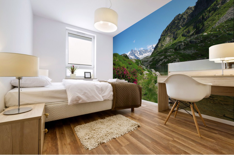 Altitude lake Mural print