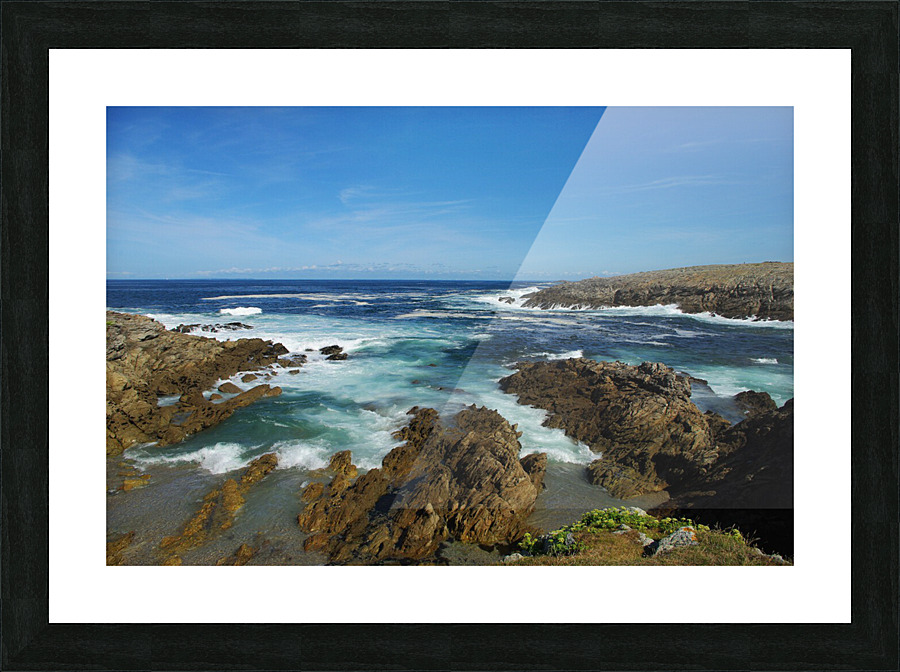 Wild side Picture Frame print