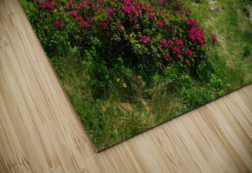 Altitude lake Naturapix puzzle