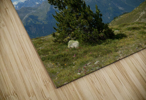 At the top Naturapix puzzle