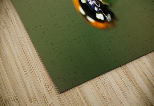 ladybug macro photography Naturapix puzzle