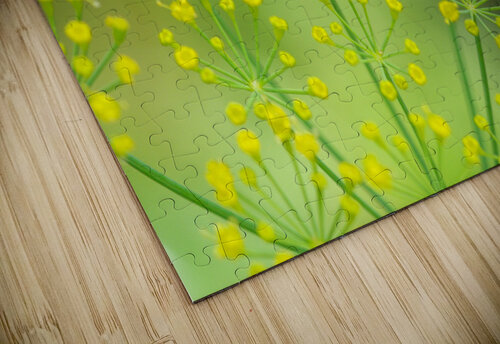 ladybug Naturapix puzzle