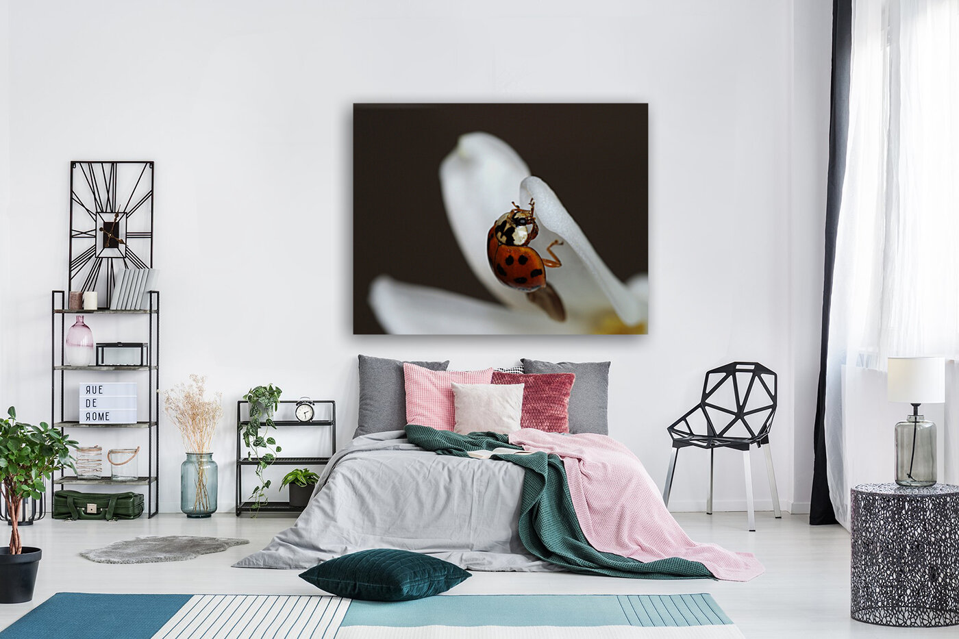 Ladybug and white flower Reproduction