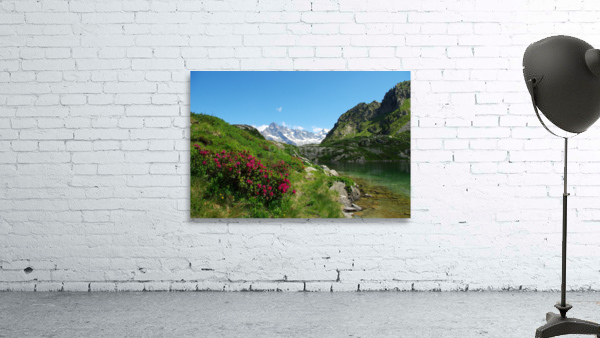 Altitude lake Wall Preview