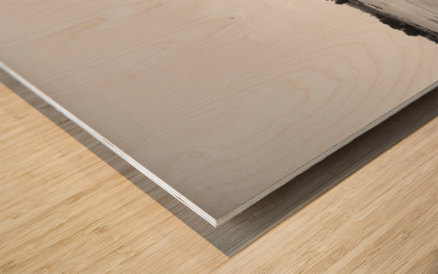 black and white Wood print