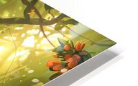 fairy fantasy HD Metal print