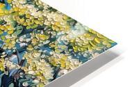 Spring Scenery  HD Metal print