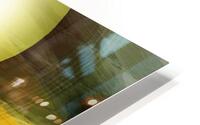 Vision collective  HD Metal print