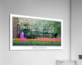 Spring Blossoms Acrylic Print