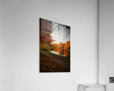 Washington Park Acrylic Print