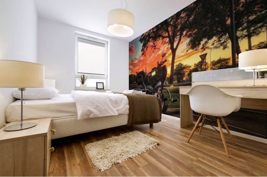 Indian Sunset Mural print