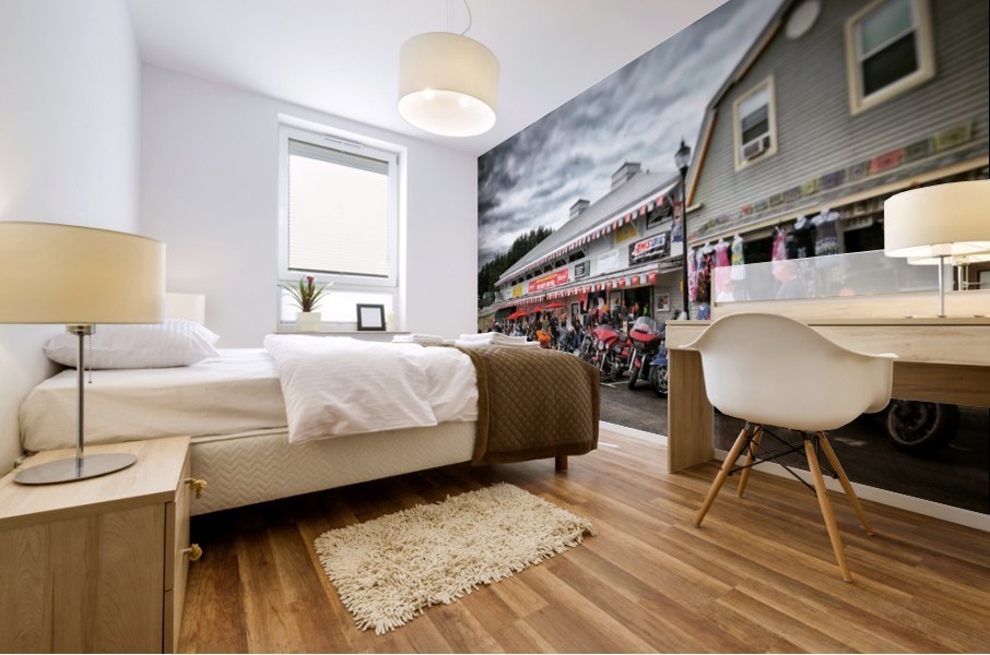 Laconia 1 Mural print