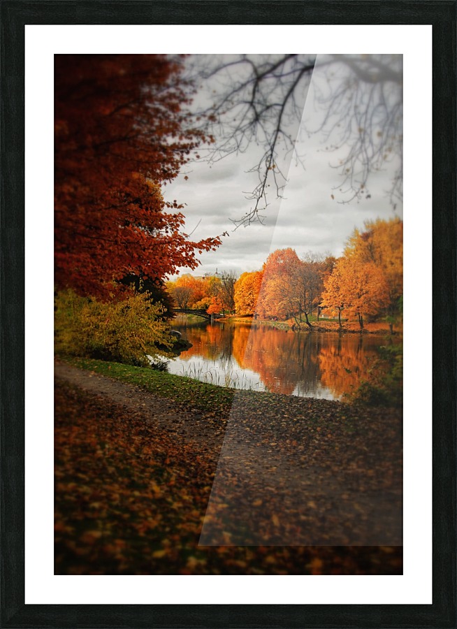 Washington Park Picture Frame print