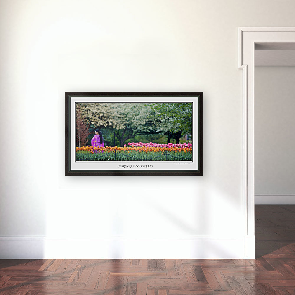 Spring Blossoms Reproduction