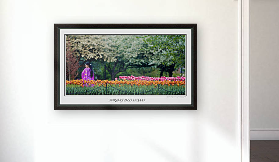 Spring Blossoms by John Christopher Photography