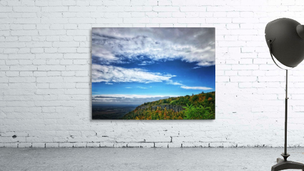 Thacher Park Wall Preview