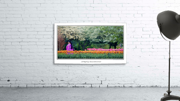Spring Blossoms Wall Preview