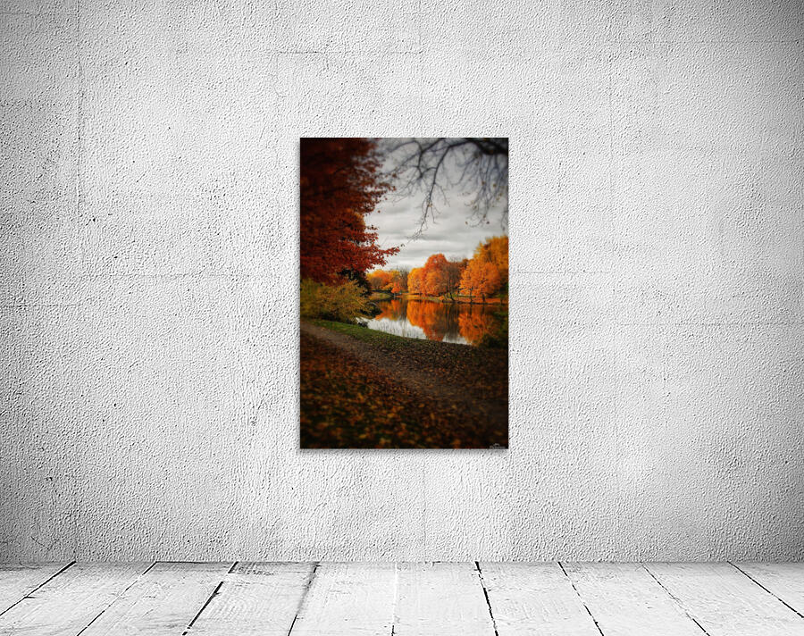 Washington Park Wall Preview