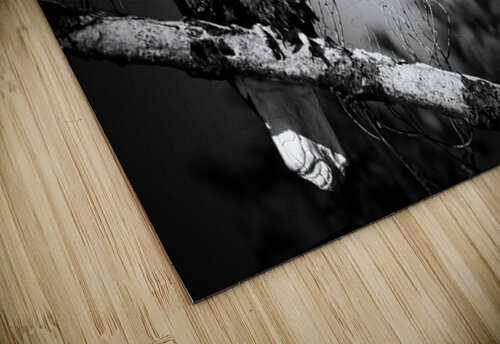 Bald Eagle BW Michelle Ainslie puzzle
