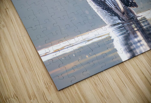 Common Loon stretch Michelle Ainslie puzzle
