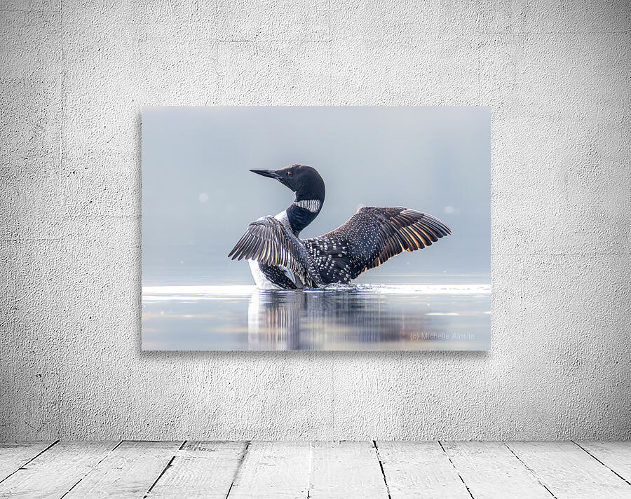 Common Loon Stretch 2 Wall Preview