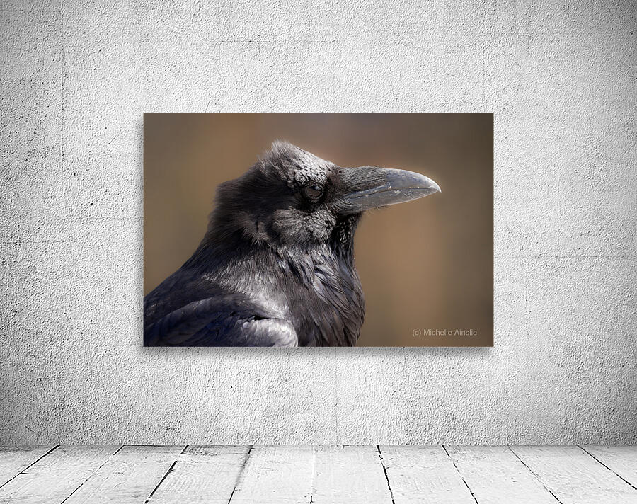 Raven portrait Wall Preview