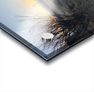 Christmas Valley Acrylic print