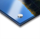 Fall in Maine Acrylic print