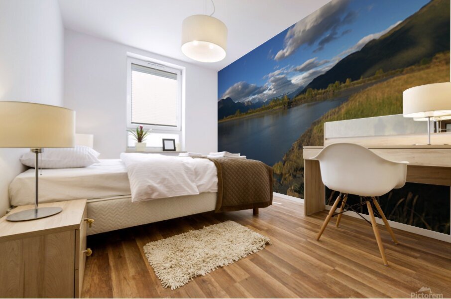 Turnagain Arm Alaska Mural print