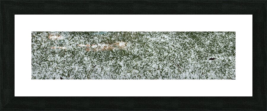 Hail on Grass Picture Frame Printing
