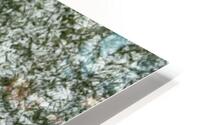Hail on Grass HD Metal print
