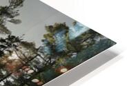 Double Rainbow Dobsis HD Metal print