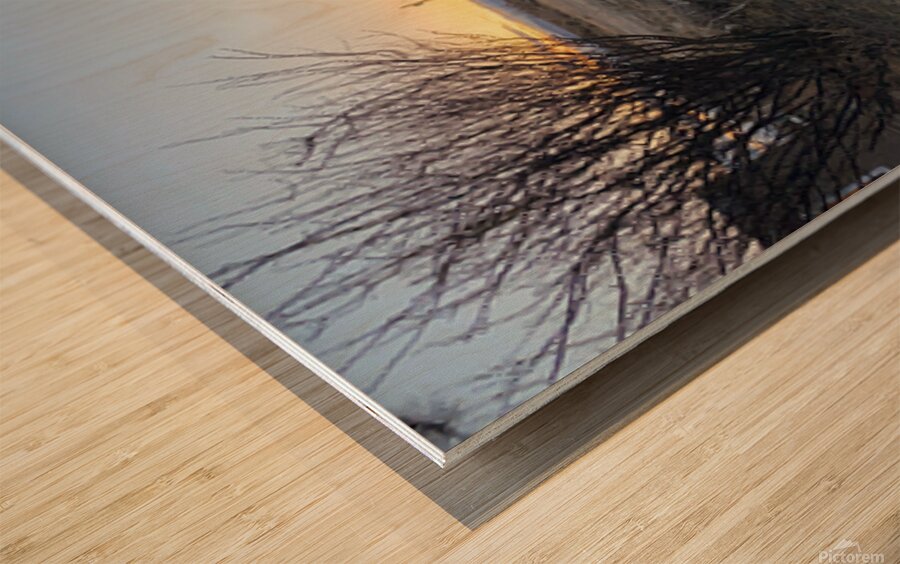 Christmas Valley Wood print