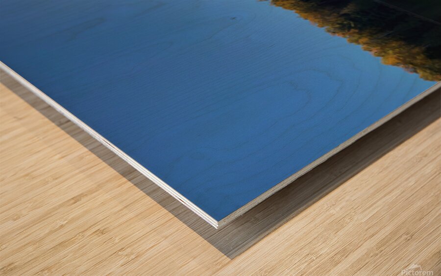 Fall in Maine Wood print