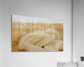Onion  Acrylic Print