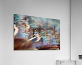 Feathers  Acrylic Print