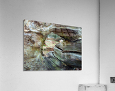 Looking through wood  Acrylic Print