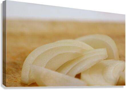 Onion  Canvas Print