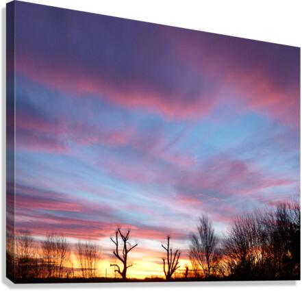 Pink sunset Canvas Print