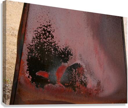 Patterns  Canvas Print
