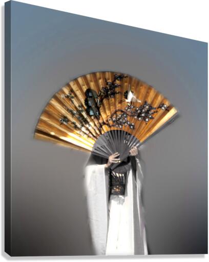 Fan dancer  Canvas Print