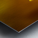 Yellow colour daffodil  Metal print