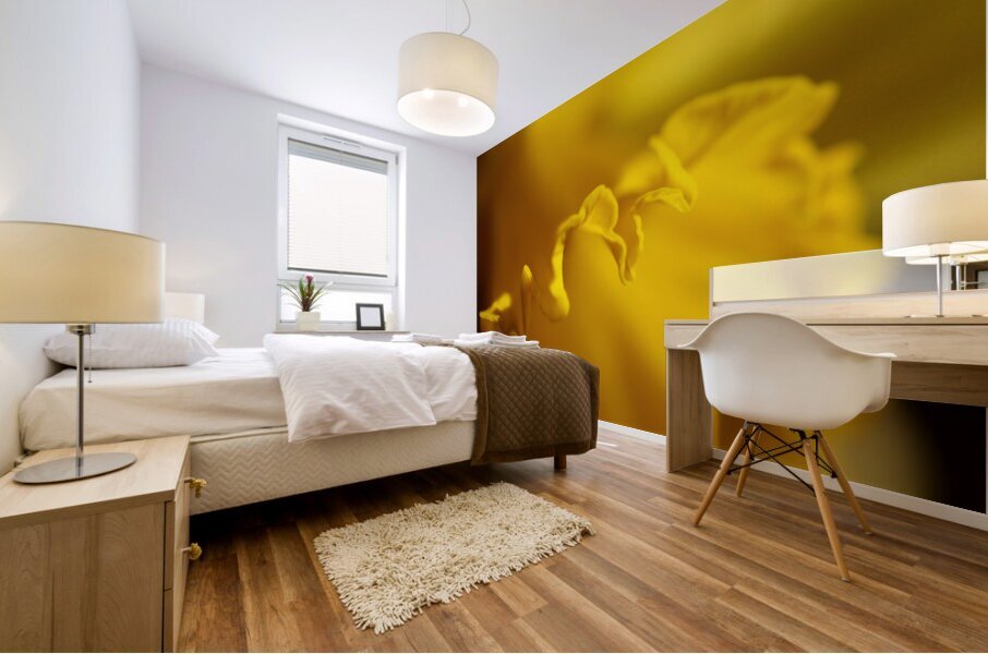 Yellow colour daffodil  Mural print