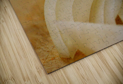 Onion  Beverly Lloyd roberts puzzle
