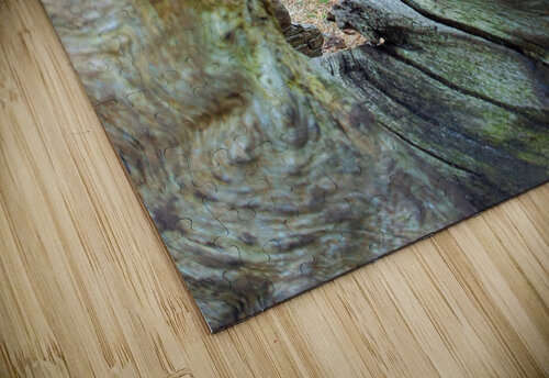 Looking through wood  Beverly Lloyd roberts puzzle