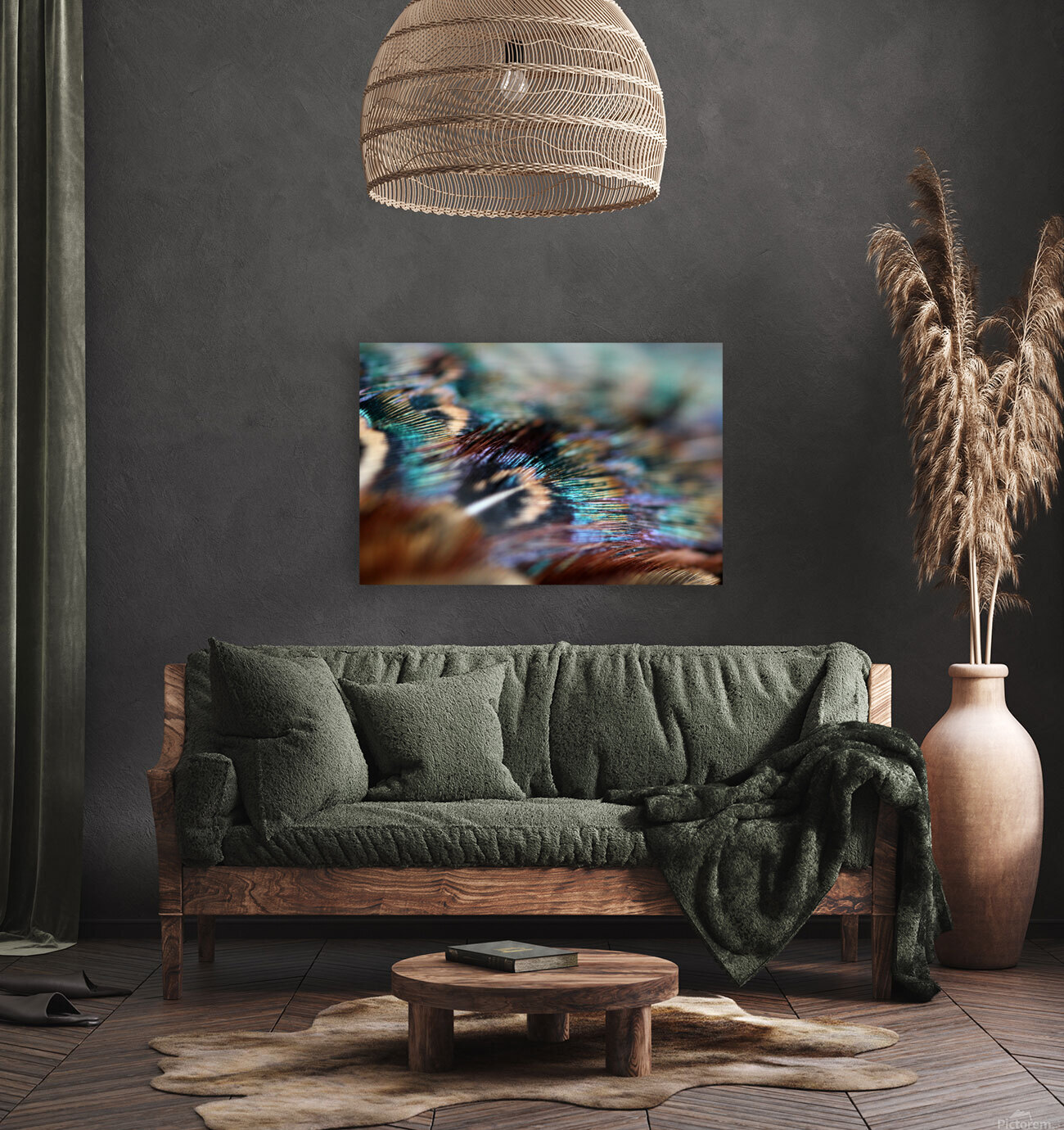 Feathers  Reproduction
